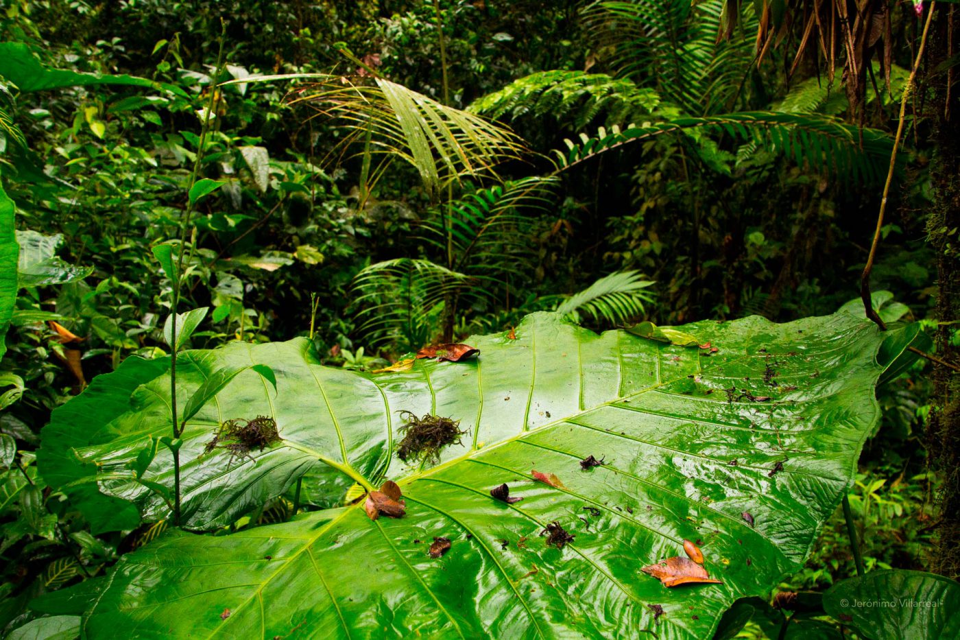 sistemas-ecologicos-fertilizantes-slide